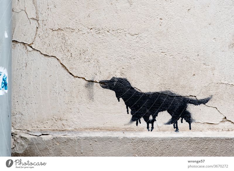 Gassi gehen im Regen | Graffito an einer Mauer Gassigehen Hund Tier Haustier Außenaufnahme Farbfoto Menschenleer Graffiti Wand Wandmalereien Mauerwand Riss