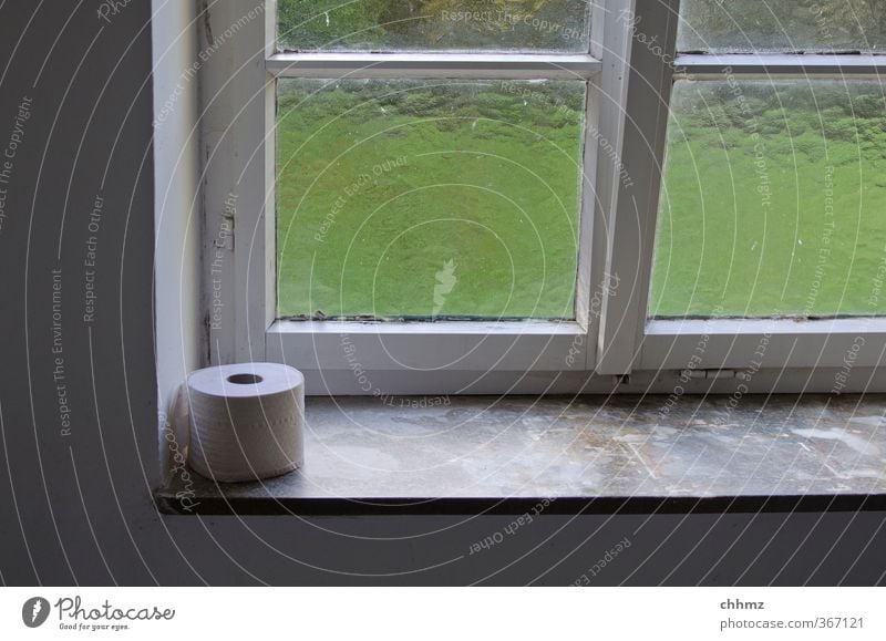 Notration Fenster Fensterbrett Sprossenfenster sitzen Toilettenpapier Klopapierhalter Glasscheibe Erleichterung Milchglas Öffentlich dringend Sauberkeit Licht