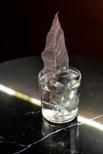 Alkoholisches Getränk mit dekorativem Blatt Cocktail Eis Dekor Bar Tisch kalt Würfel trinken Erfrischung Tasse Glas Party Schnaps durchsichtig Portion dienen