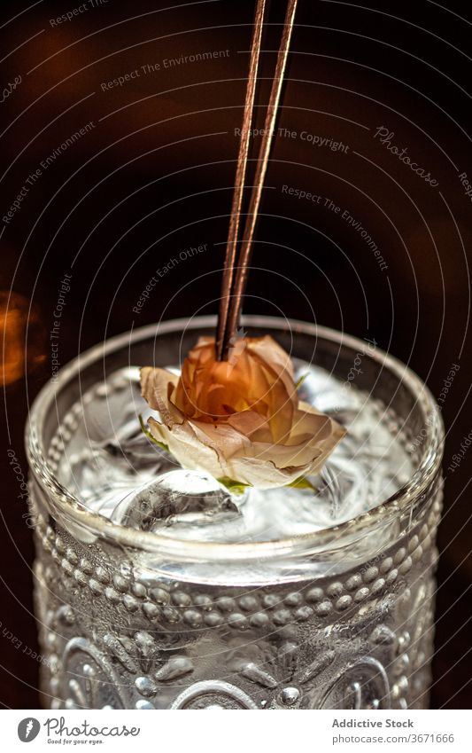 Zarte Blume auf kaltem Cocktail Glas Dekor Eis Würfel filigran kleben dunkel Alkohol zerbrechlich trinken Getränk frisch Erfrischung Pflanze durchsichtig