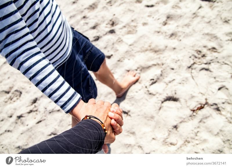 myself | weil deine hand in meine passt Freude Außenaufnahme Sand Fuß festhalten Zusammensein Glück Familie glücklich Finger Gefühle nähe gemeinsam Vertrauen