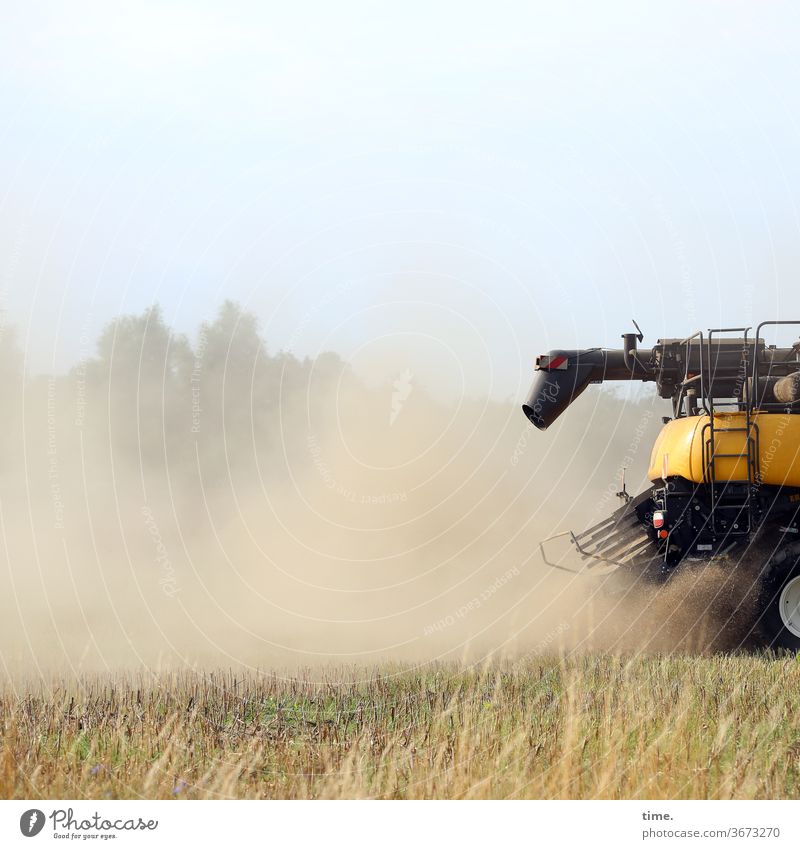 jetzt gibt's Dresche! mähdrescher staub Landwirtschaft busch baum sonnig himmel schatten ernte fahren getreidefeld arbeit krach fahrzeug