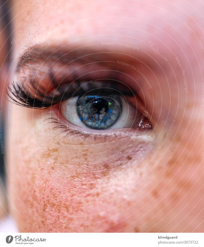 Lovely Eyes | Lieblingsmensch Auge Augenbraue Wimpern Iris Sommersprossen Pupille Augapfel Schminke Wimperntusche Jugendliche Teenager Weiblich Haut Gesicht