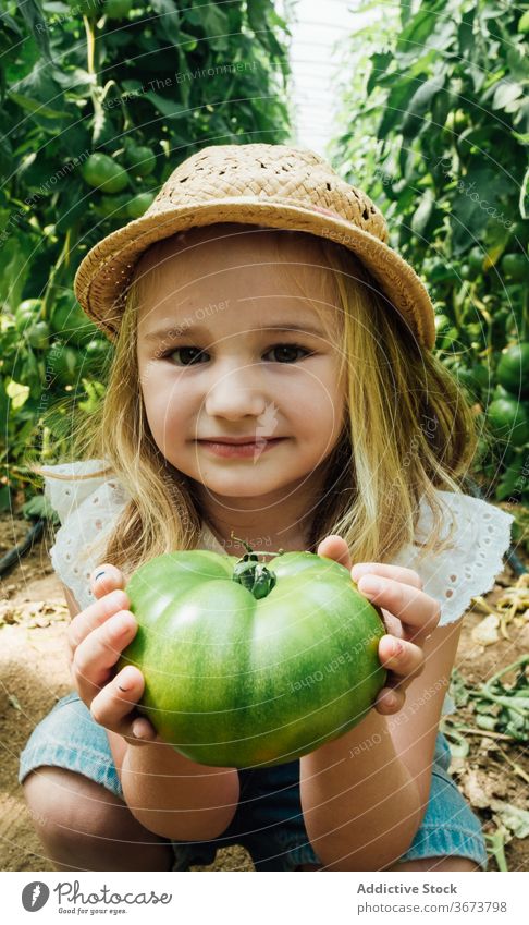 Nettes Mädchen zeigt große grüne Tomate im Gewächshaus zeigen Buchse Gartenbau Lächeln organisch bewachsen unreif Harmonie idyllisch Gartenarbeit Kniebeuge