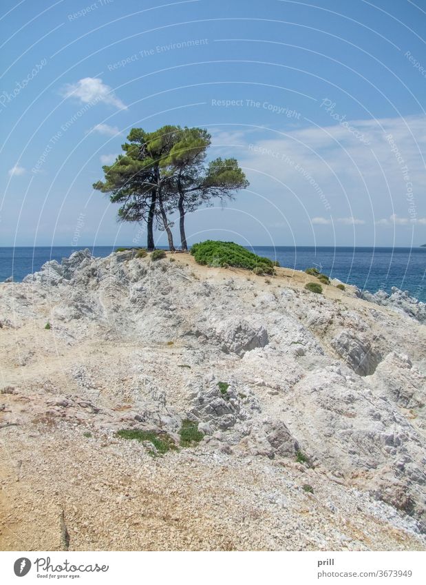 Amarantos-Felsen bei Skopelos kap amarantos baum Strang skopelos sporaden Ägäisches meer insel ozean Meer thessalien bucht Wasser klar durchsichtig
