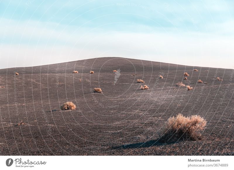 Weite aride Landschaft um den Ubehebe-Krater im Tal des Todes ubehebe-Krater vulkanisch keine Menschen reisen wüst Steine im Freien Horizont Hügel Tour wandern