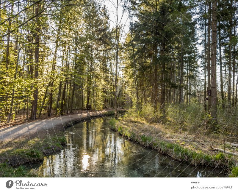 Blick über einen klaren Bach in den Wald Morgenstimmung Windstille übersichtlich Textfreiraum Landschaft Trinkwasser Umwelt Morgensonne Natur Naturschutz