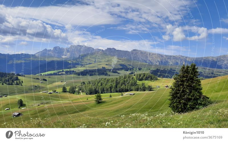 Wandern auf der Seiser Alm Natur Urlaub Grün Landschaft Dolomiten Außenaufnahme Sonne Erholung