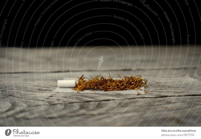 ...raucherpause! Holz drehen Tabak Tabakwaren Zigarette Rauchpause Filterzigarette Rauschmittel Drogensucht drogenabhängig Drogenkonsument Pause genießen