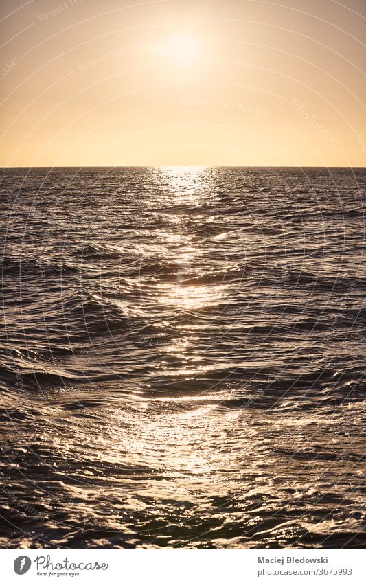 Sonnenuntergang über dem Meer spiegelt sich im Wasser. MEER Natur Horizont Sommer reisen Meereslandschaft malerisch schön gelb orange Hintergrund