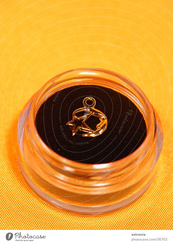 Mond & Stern Schmuck gold Stern (Symbol) Pearcing Nail-Design