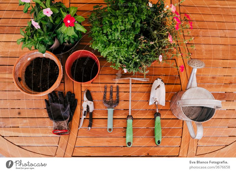 Draufsicht auf Gartengeräte auf einem Holztisch Werkzeuge Gartenarbeit niemand schaufeln Pflanzen Handschuhe Öko Biografie verschmutzt Pflege Rasen künstlich