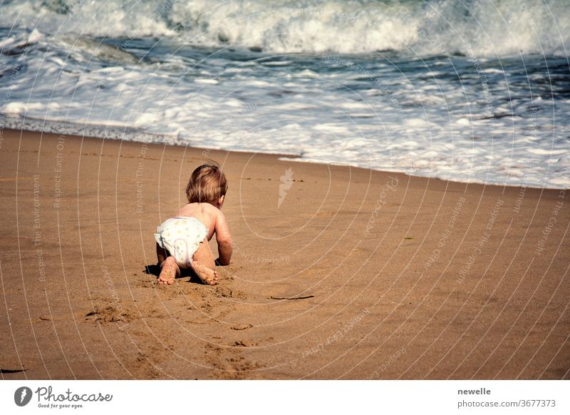 Kleinkind krabbelt auf Sand in Richtung Meereswelle. Kleinkind krabbelt auf allen Vieren am tropischen Strand und erreicht das Wasser von hinten. Kleinkind neugierig auf das Meer im Sommer. Erkundung im Säuglingsalter.