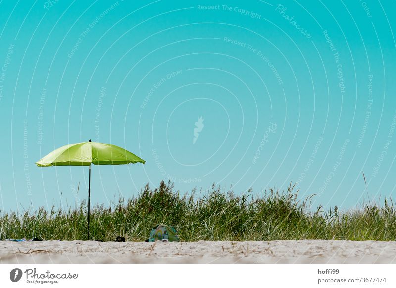 Grüner Sonnenschirm am Strand in den Dühnen Blauer Himmel Wolkenloser Himmel Minimalismus minimalistisch Sommer Ferien & Urlaub & Reisen Sonnenbad Küste