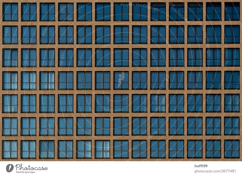 1000 Fenster, 91sichtbar - die Augen der Stadt Fensterfront Fensterscheibe reflektierend Rollladen minimalistisch jalousin Geometrie Architekturfotografie