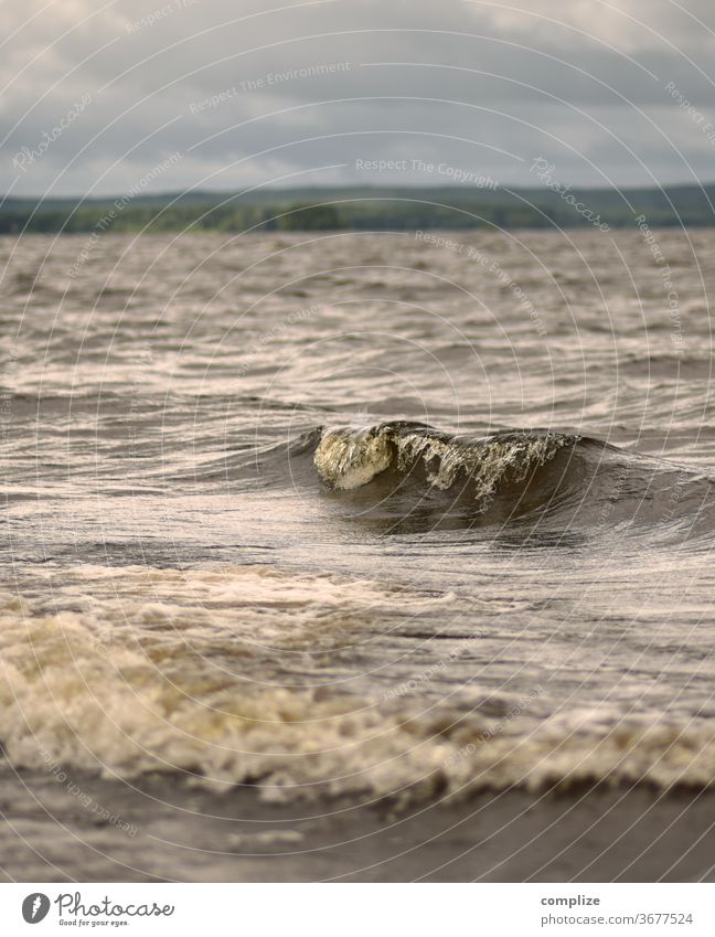 kleine Welle am See Wellen Wellengang Finnland Skandinavien Gewässer Wasser Sturm Regen Urlaub Wellenform Schaum reisen Reise Erholung
