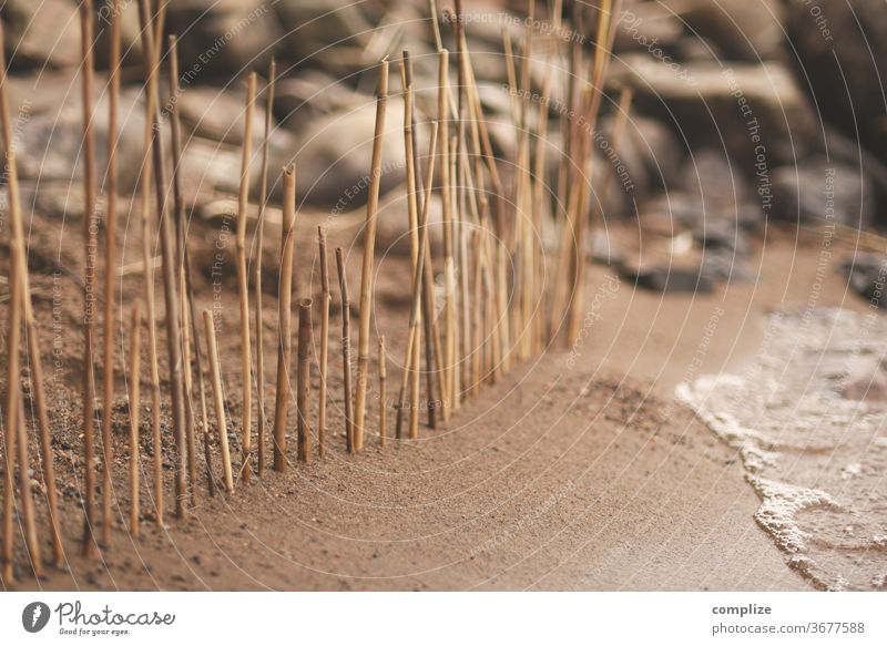 Strandverschönerung mit Schilfrohr strandgut basteln Künstlerisch Sandstrand Steine See Meer ufer Wellen Bambus Bambusrohr Urlaub Sommer Art Design