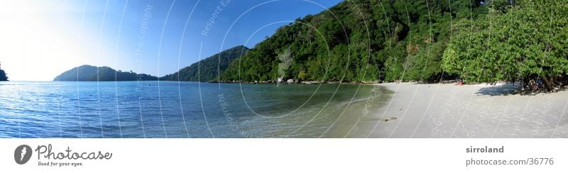 Koh Surin Thailand Strand Meer Küste Sonne ruhig Palme Sommer Panorama (Aussicht) Weitwinkel Ferien & Urlaub & Reisen Einsamkeit unberührt Ferne grün