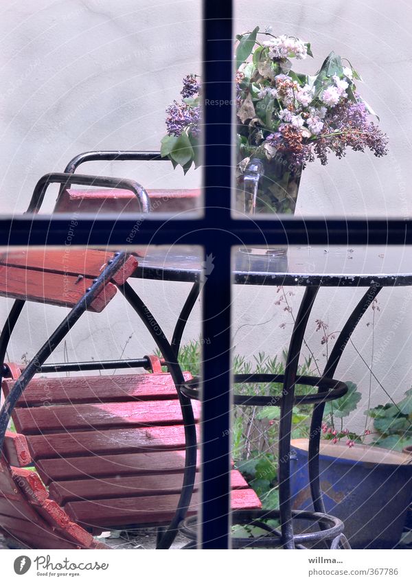 prager frühling im hinterhof Frühling Fliederbusch Fliederstrauß Blumenstrauß Einsamkeit Vergänglichkeit Hinterhof Garten Gartentisch Gartenstuhl Fensterkreuz