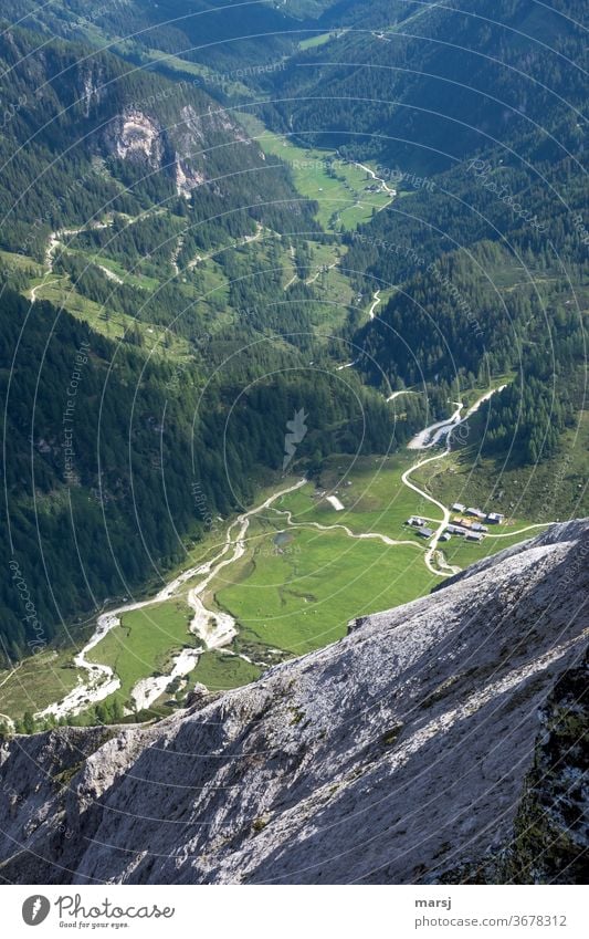 Mit Blick zur Ursprungalm runterschauen eng Bergstraße Österreich Preunegg Alm Tal bewaldet Alpen Stille Ruhe Berge u. Gebirge Ferien & Urlaub & Reisen Natur