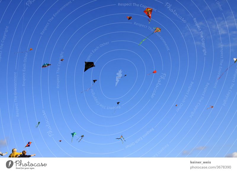 Viele Flugdrachen vor einem blauen Himmel und zwei Kinder klein am unteren Bildrand flugdrachen windspiel windspiele freizeit fliegen himmel luft drachenschnur