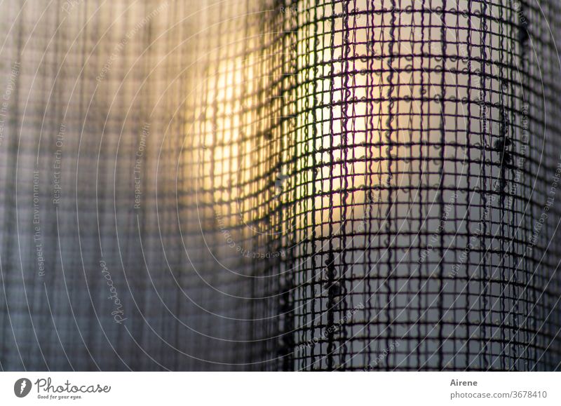 lichtdurchlässig Gardine Stoff Netz Sonnenlicht Vorhang Fenster Dekoration & Verzierung abstrakt Netzwerk Hoffnung durchsichtig Abend Dämmerung Sonnenuntergang