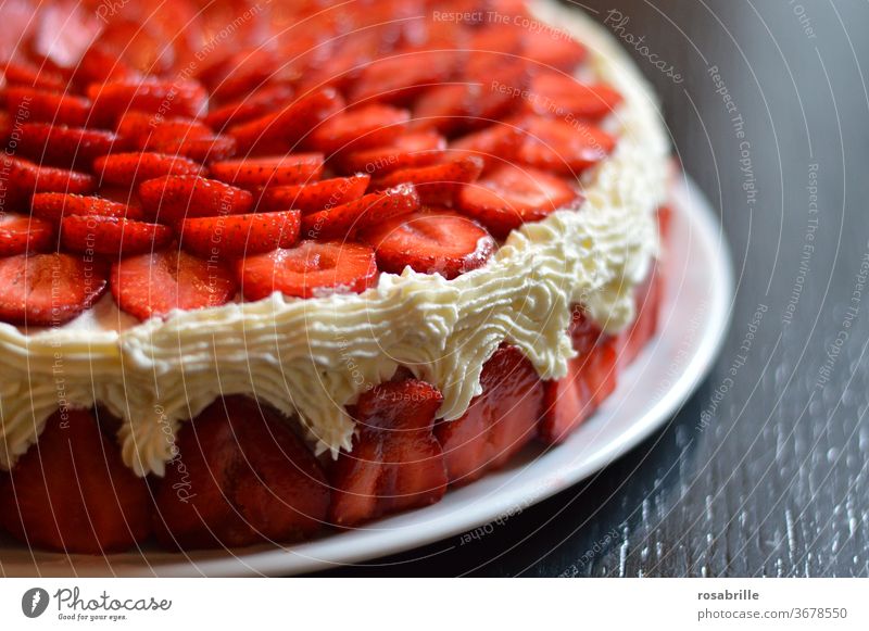 Vorfreude | auf die Erdbeertorte Torte Kuchen Erdbeeren lecker Obst Sahne hausgemacht selbstgebacken selbstgemacht Erdbeerscheiben nah Detail Detailaufnahme