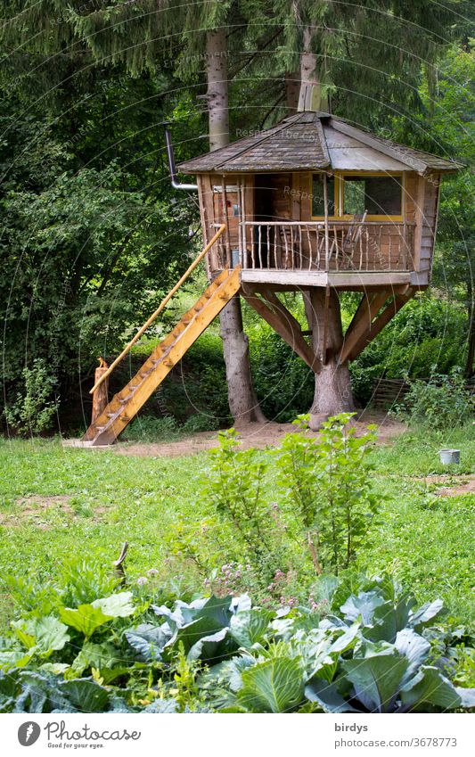 großes ,gemütliches, solides Baumhaus aus Holz im Garten Holzhaus wohnen alternatives wohnen Idylle Freiheit draußen Architektur ökologisch Veranda Rundhaus