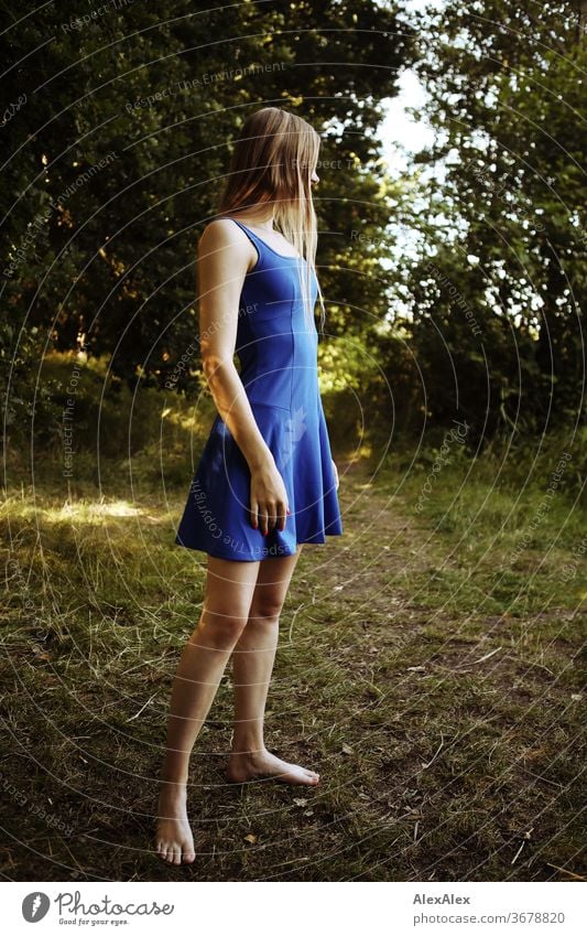 Portrait einer jungen Frau in blauem Sommerkleid in der Natur Reinheit Glück Schönes Wetter Ausflug Erwartung Sonnenlicht Nahaufnahme Tag Blick in die Kamera