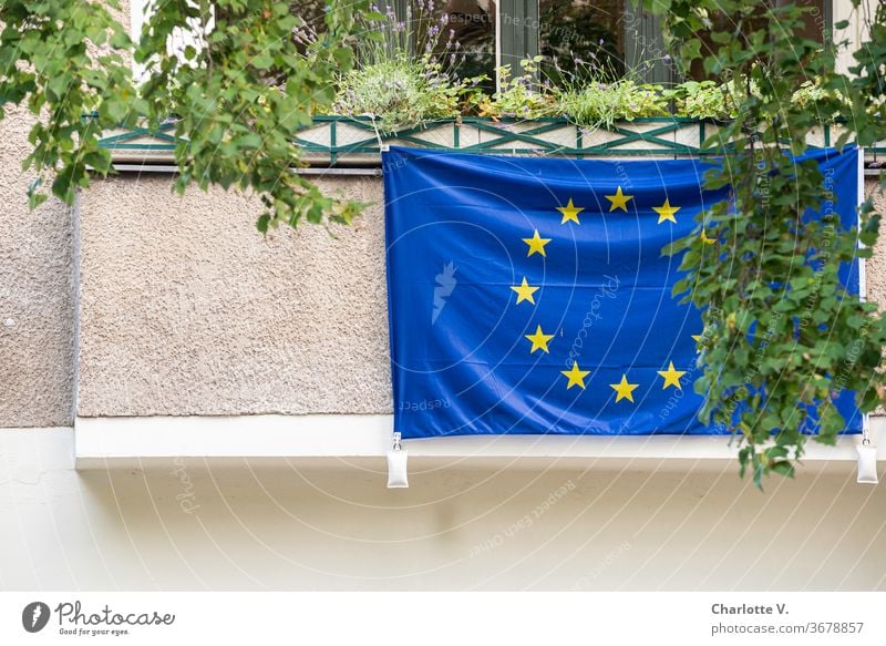 Viva Europa | Europafahne an einem Balkon Flagge Balkonpflanzen Fahne Menschenleer blau gelb Symbole & Metaphern Stoff Außenaufnahme Stern (Symbol)