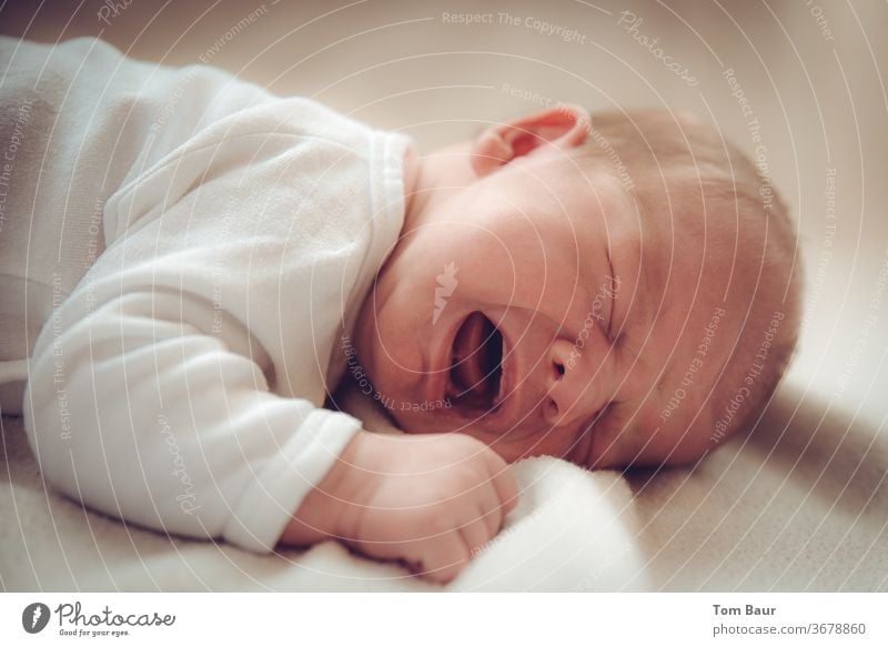 Ich hab hunger Baby weinen schreien quengeln weiß Hintergrund neutral neugeborenenfotografie neugeborenes neugeborenes Baby stillen neues leben liegen Decke