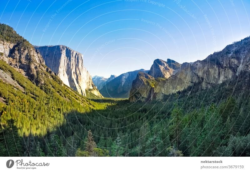Yosemite-Nationalpark Forest Valley Yosemite NP Wald Kiefer Tal Klippe Berge u. Gebirge Yosemit-Tal Steine Panorama Totale Fluchtpunkt Himmel sonnig Landschaft