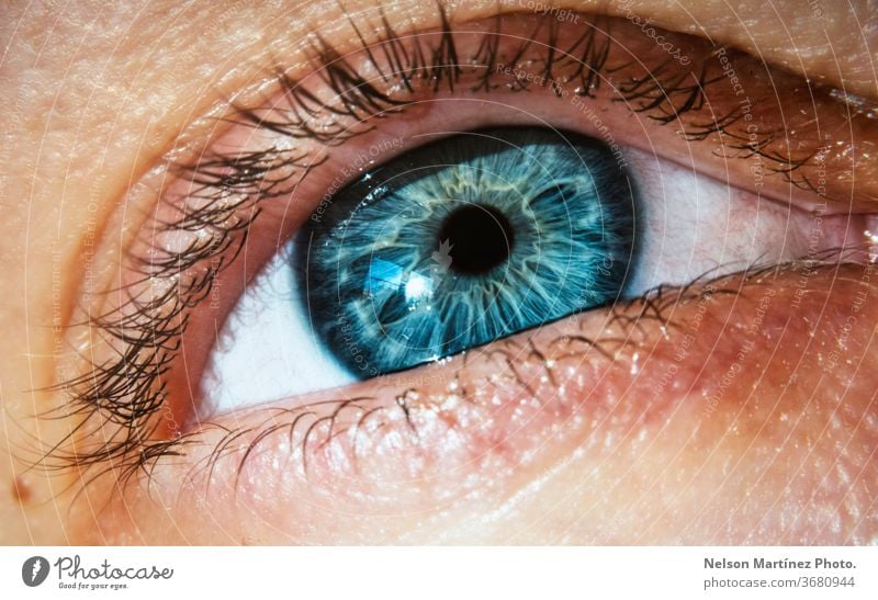 Nahaufnahme eines blauen Auges einer kaukasischen Frau. Nahaufnahme des Auges einer Person mit den hypnotisierenden Blautönen. Ansicht optisch Mädchen Aussehen