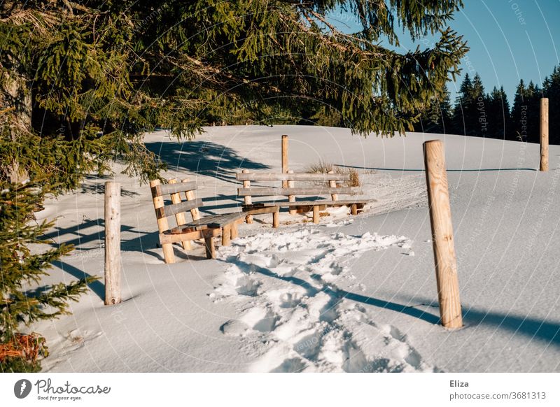 Zwei Holzbänke in verschneiter Landschaft bei Sonnenschein im Winter Schnee Bänke Ausflug Sitzplatz Natur Wald Schönes Wetter weiß Menschenleer Winterurlaub