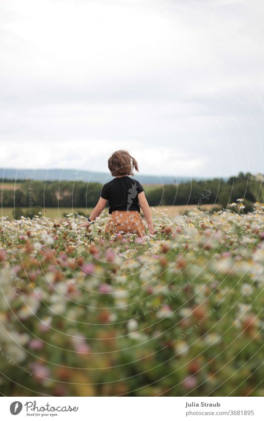 kleines Mädchen läuft über ein Kamillen Kleefeld mit toller Aussicht Ökotourismus ökologisch Rock kurzhaarig Kleeblüte kamillenfeld Wiesenblume Natur grün Dorf