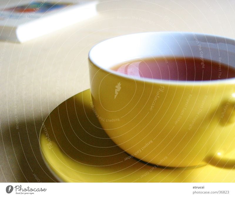Tasse Getränk Heißgetränk Tee Erholung ruhig gelb gemütlich Warmherzigkeit genießen Farbfoto Nahaufnahme Menschenleer Schwache Tiefenschärfe Buch rund Schatten