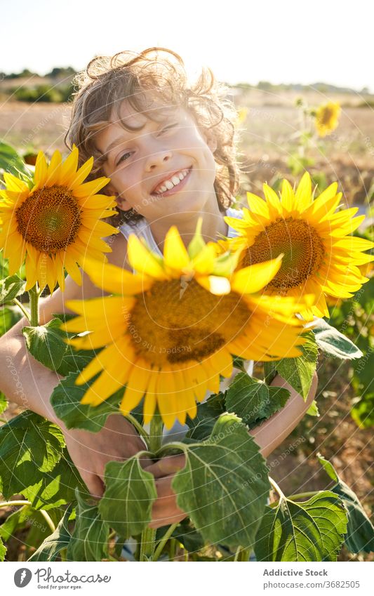 Glücklicher Junge im Sonnenblumenfeld Feld Kind Sommer Lächeln genießen Natur Sonnenlicht Blume Teenager sorgenfrei stehen Landschaft heiter Kindheit Wiese
