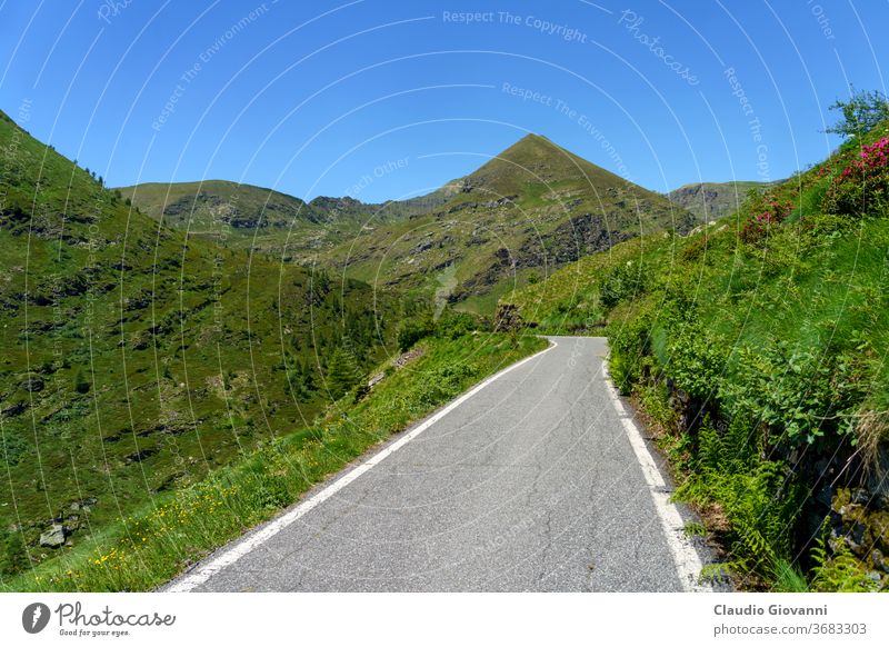 Berglandschaft entlang der Strasse zum Vivione Pass bergamo Europa Italien Lombardei Schilpario Farbe Tag grün Landschaft Berge u. Gebirge Natur Fotografie