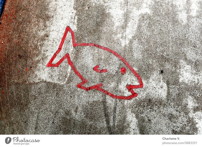 Flinkes Meerestier auf hartem Beton| Fisch Betonboden Asphalt Klebeband geklebt Graffiti weich grau Außenaufnahme Straße Linie Farbfoto Schweben Meeresfrüchte