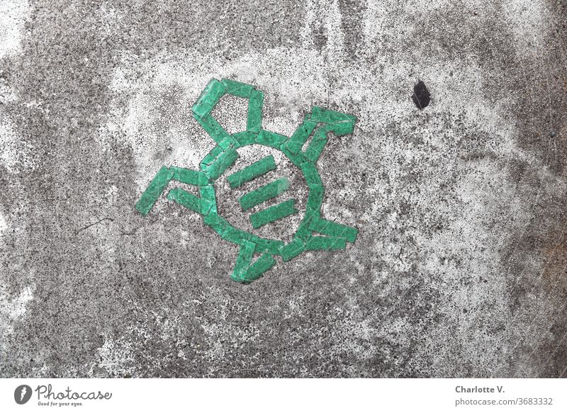 Hartes Meerestier auf hartem Beton| Meeresschildkröte Betonboden Asphalt Klebeband geklebt Graffiti weich grau Außenaufnahme Straße Linie Farbfoto Schweben