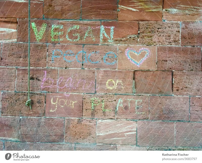 Vegan Graffiti Wand Außenaufnahme Farbfoto Schriftzeichen Buchstaben Fassade Tag Wort Kreide Zeichen Text Typographie mehrfarbig Schmiererei Mauer Englisch