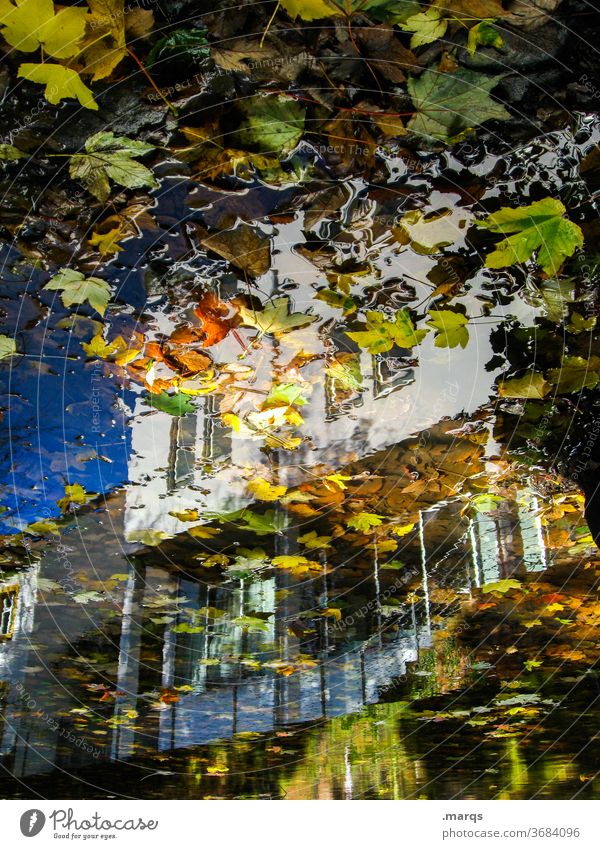 Abgeblättert Reflexion & Spiegelung Herbst Wasser Blatt Haus Architektur Wolkenloser Himmel Perspektive optische täuschung