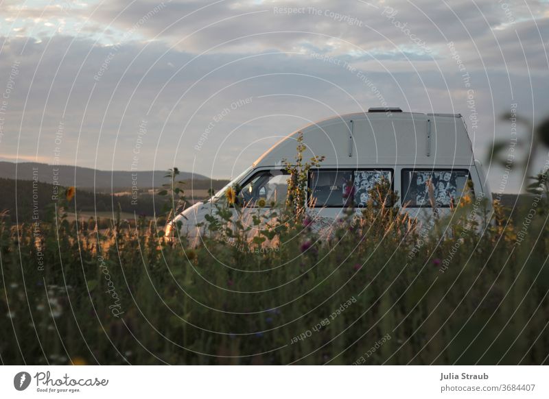 Campingbus steht herrlich im Abendlicht zwischen Hügeln und Blumenfeld im Abendlicht Bus wildcamping Hochdach Blumenwiese Hippie Freizeit & Hobby Freiheit frei