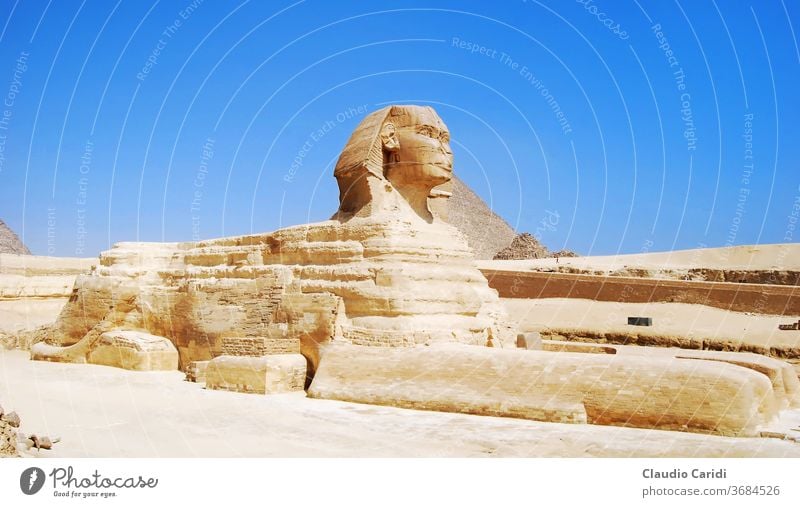 Die Große Sphinx in Gizeh. Kairo, Ägypten Pyramiden Afrika antik Pharao reisen Ägypter wüst Architektur Historie berühmt Denkmal alt Wahrzeichen Stein Tourismus