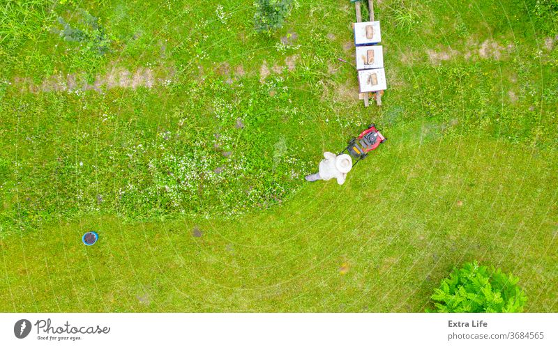 Luftaufnahme eines Imkers, der mit einem Benzinrasenmäher einen Rasen in seinem Bienenstock mäht oben Antenne Bienenkorb Bienenzucht angeordnet Verschlussdeckel