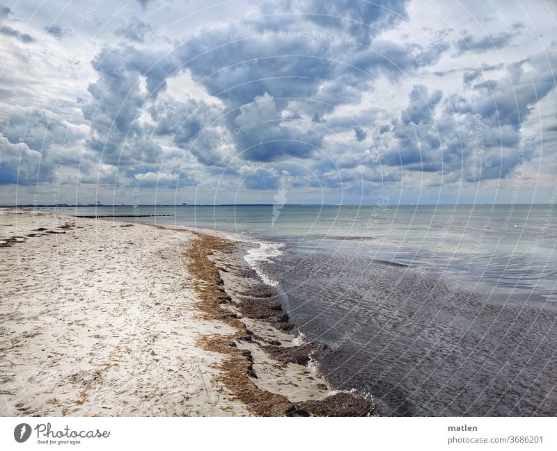 Ostsee im Juli ostsee meer mobil strand horizont sommer menschenleer wolken
