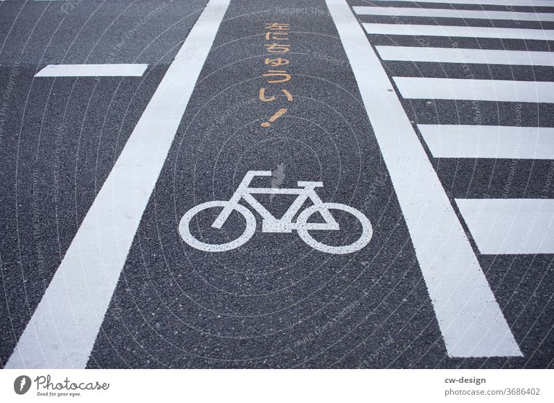 Fahrradweg auf Japan fahren Wege & Pfade Wegweiser Wegkreuzung Straße Verkehr Fahrradfahren Verkehrswege Verkehrsmittel Mobilität Straßenverkehr Außenaufnahme
