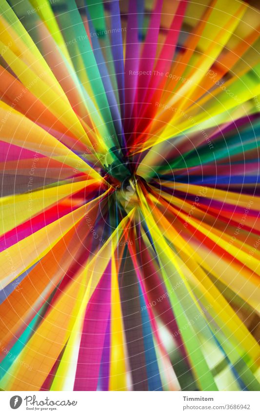 Windrädchen Windmühle Freizustand Doppelbelichtung farbig bunt gemischt Mittelpunkt Kunststoff mehrfarbig Dekoration & Verzierung Spielzeug