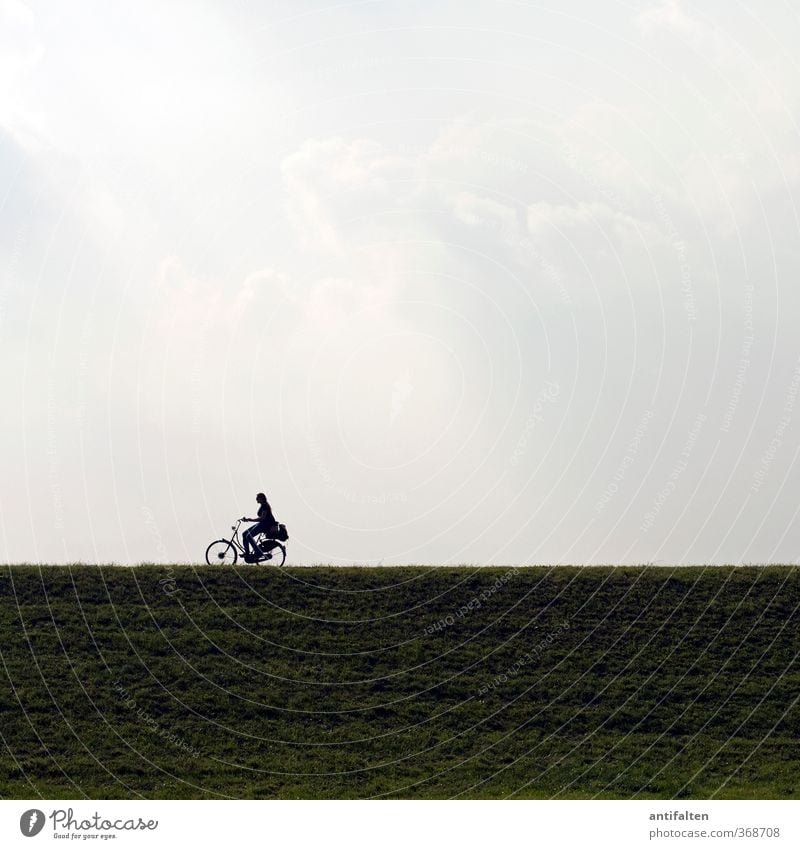 sie fährt Fahrradfahren feminin Frau Erwachsene Körper 1 Mensch 18-30 Jahre Jugendliche Landschaft Himmel Wolken Sonnenlicht Frühling Sommer Rheinauen