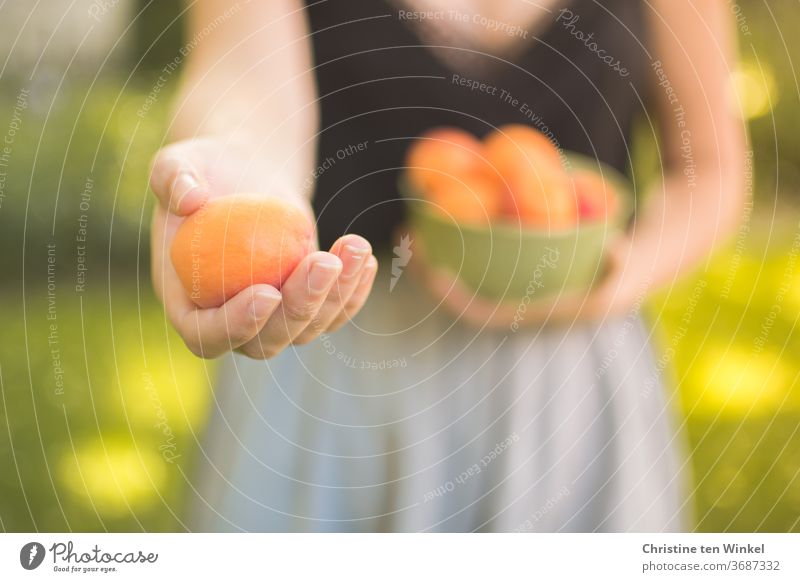 Lieblingsmensch | junge Frau bietet eine Aprikose an und hält eine Schale mit Früchten in der anderen Hand Junge Frau Aprikosen Sommer anbieten halten Vitamin